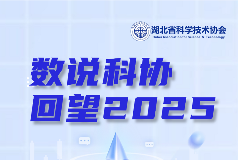 ��˵��Э ����2025